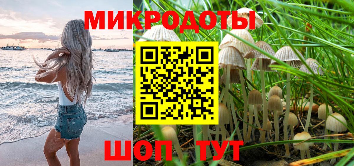 Псилоцибиновые грибы GOLDEN TEACHER  Вход с VPN  Прокопьевск 